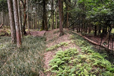 土塁（小畠館二ノ丸西）