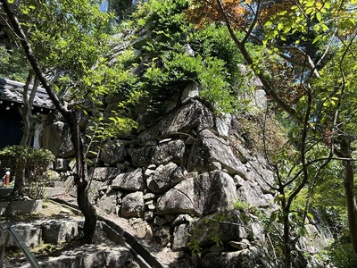 山門右側の本丸石垣