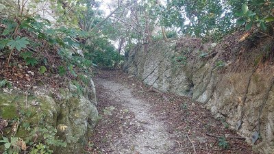 岩盤切通しの登城路