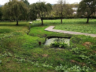 中館北側の馬淵川に下っていく谷