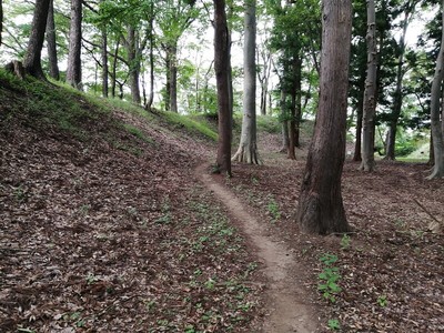 本丸西側の堀と土塁