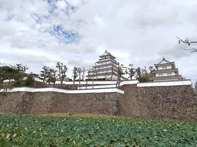 図書館側から