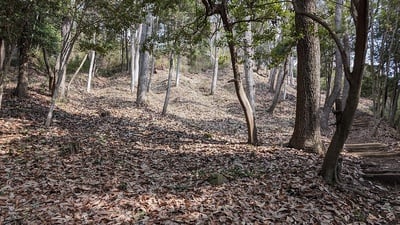 ３郭南側の畝状竪堀群