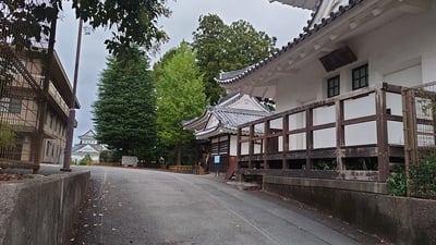 現存する巽櫓と番所