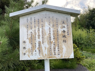 案内板「和田氏と道三の決戦場 美江寺城跡」