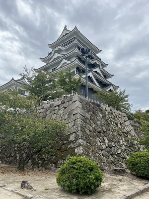 北側の鉄板壁の黒と、白壁とのコントラストを楽しむ