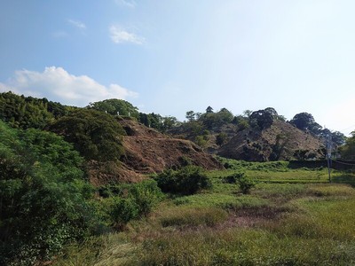 東から眺める城跡