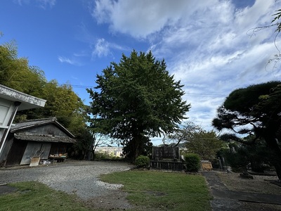 風景