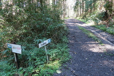 犬地城 登城道分岐