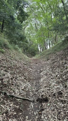 ほぼ獣道な空堀