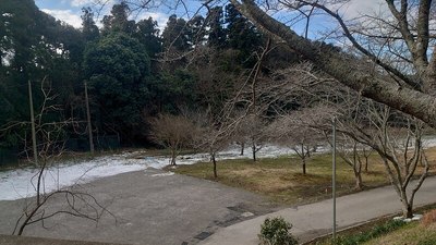 城山公園