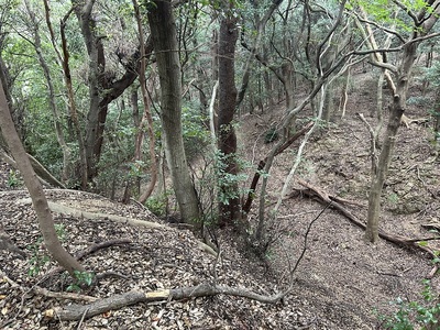 本郭北側の大堀切