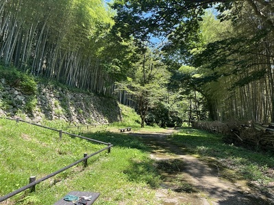 山麓の居館跡