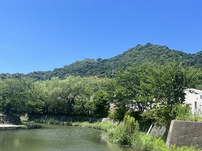 八幡堀から見た八幡山城