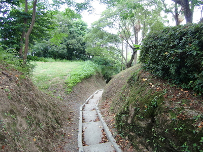 竪堀の様な地形