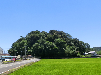 北側からの遠景