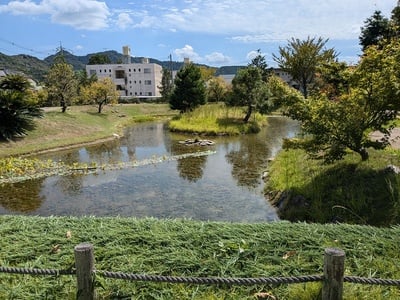 池泉庭園