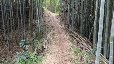 本丸虎口と土橋