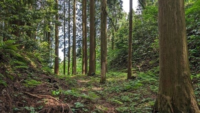 城域西側の大堀切