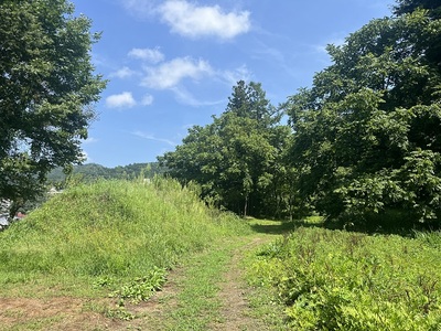 本丸北西側の堀と土塁跡