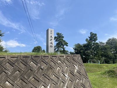 ニノ丸大手脇の城跡碑