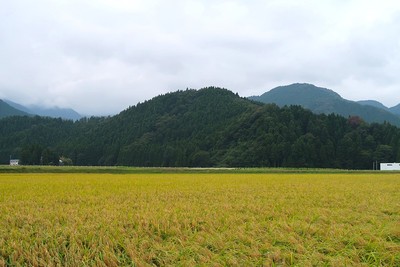 茶臼山城 遠景（北東より）