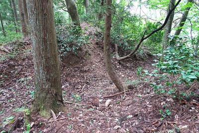 茶臼山城 主郭南の堀切を上から