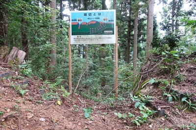 西光寺城 東曲輪・主郭間の堀切