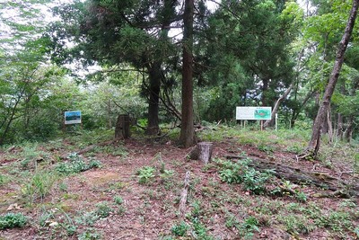 西光寺城 主郭風景