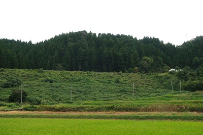 西光寺城 北より城山を望む