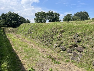 本丸南虎口から見た蒲生時代に築かれた本丸石垣