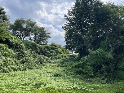 城北側の二の丸（左）と本丸間の堀