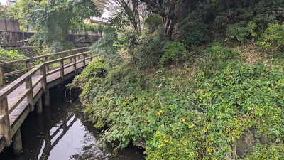 水堀と土塁