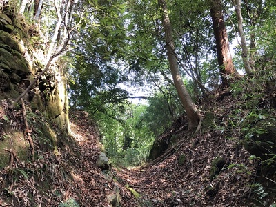 東の城北端の堀切