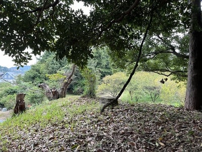 主郭からの風景