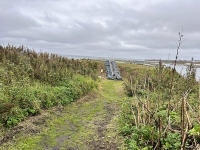 チャシ跡へ登る階段