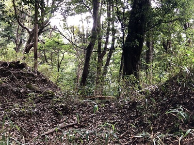 中の城北側の堀切