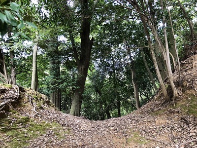 中の城北側二本目の堀切