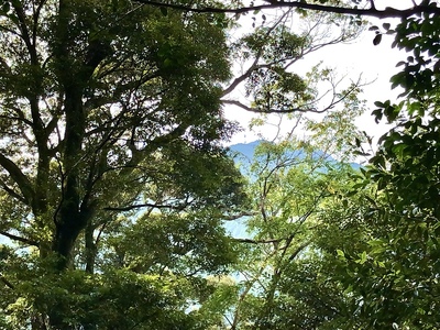 中の城主郭から見た長野城