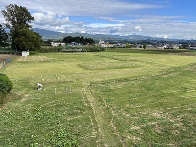 政庁跡(歩道橋より)