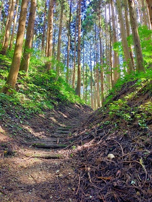 登城路