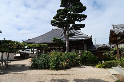 若林城 城址に建つ円楽寺