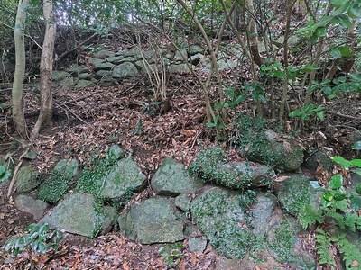 立花山城 主郭 石垣