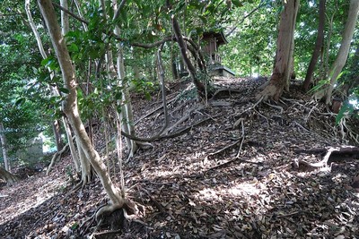 上野上村城 土塁