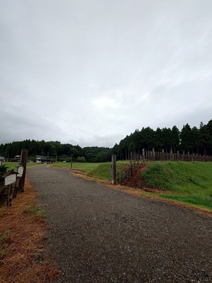 春日山城　総構