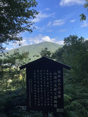 虎御前山城から見る小谷城