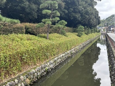 足利氏館水堀と土塁