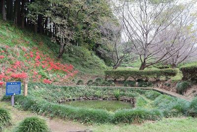 溜池跡（鏡ヶ池）