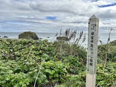 ボンモイチャシ跡