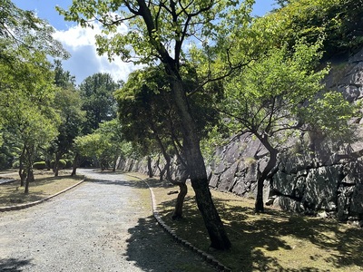 城南東側の帯曲輪跡